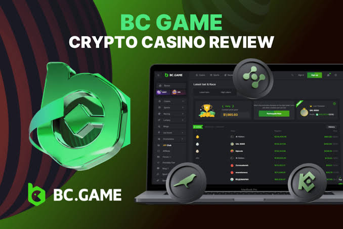 A Comprehensive Guide to BC.Game Platform Gaming and Earning with Cryptocurrencies
