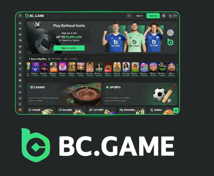 Exploring the BC.Game Online Platform A Comprehensive Guide